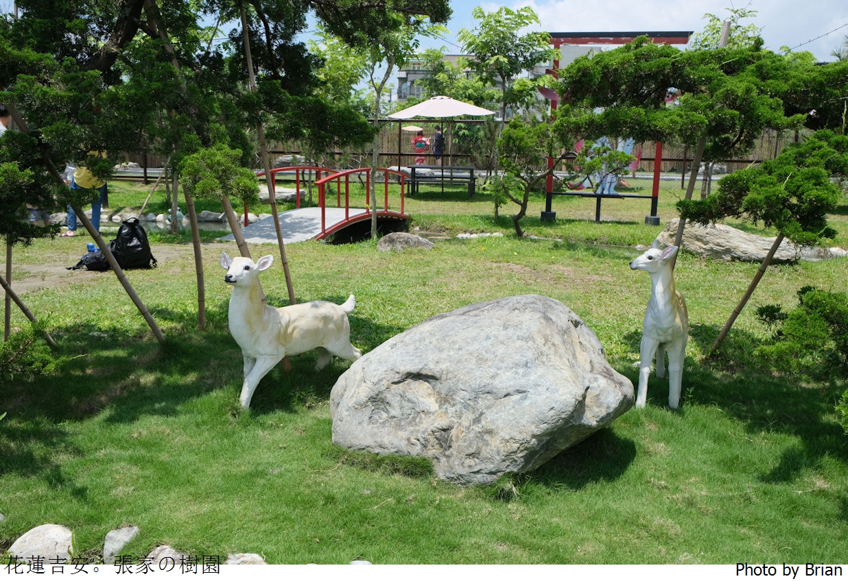 花蓮吉安張家的樹園。日式庭園、免費和服體驗、餵梅花鹿