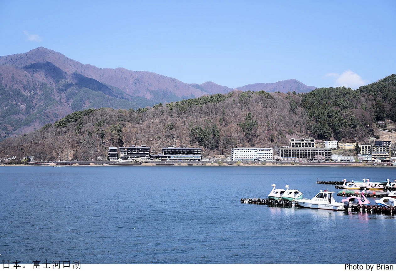 日本富士河口湖 Fujiyama Cookie。河口湖天上山纜車旁特色餅乾店