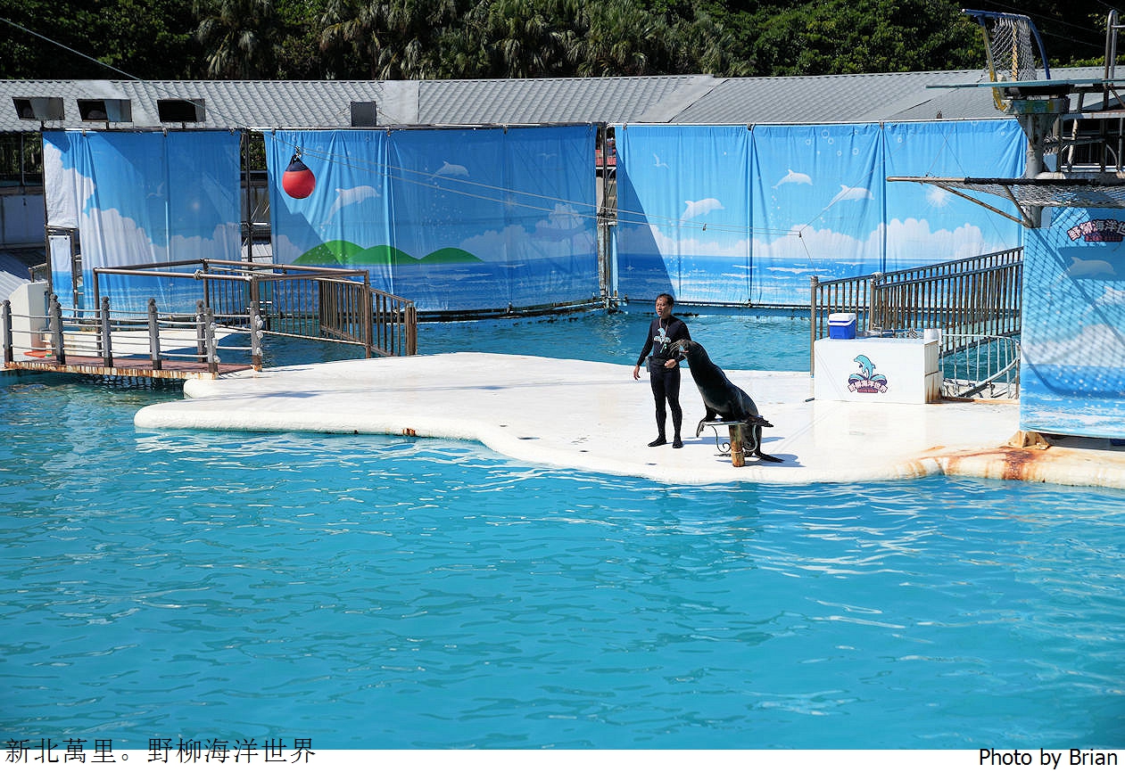 新北野柳海洋世界。北海岸水族館搭配精彩跳水、海豚海獅表演