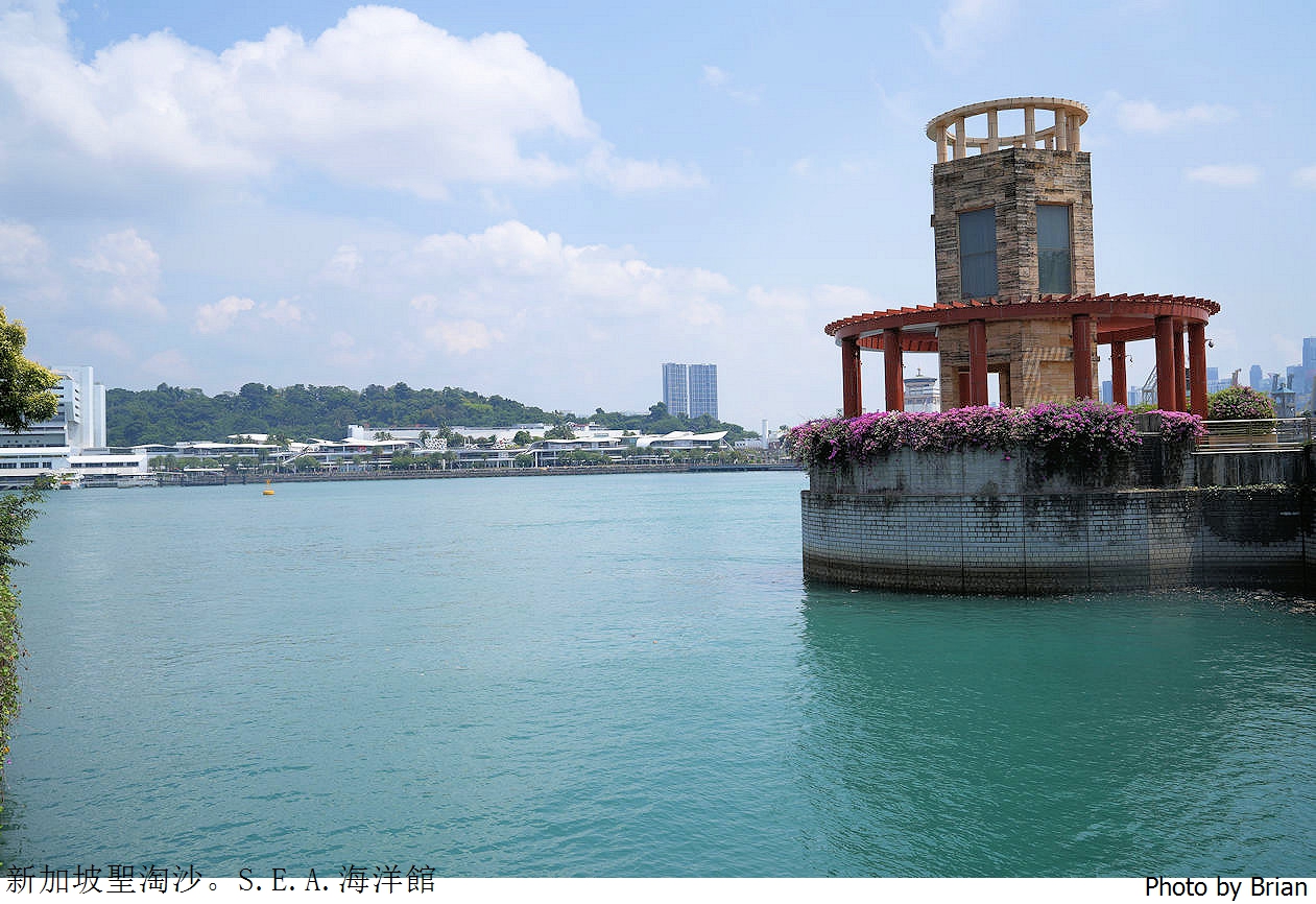 新加坡聖淘沙 SEA Aquarium 海洋館。聖淘沙名勝世界親子景點推薦
