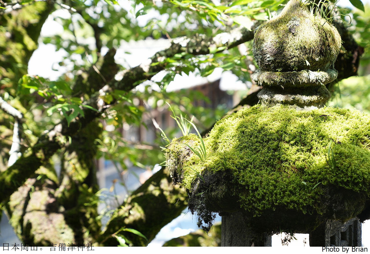日本岡山景點吉備津神社。日本國寶級建築桃太郎傳說起源地