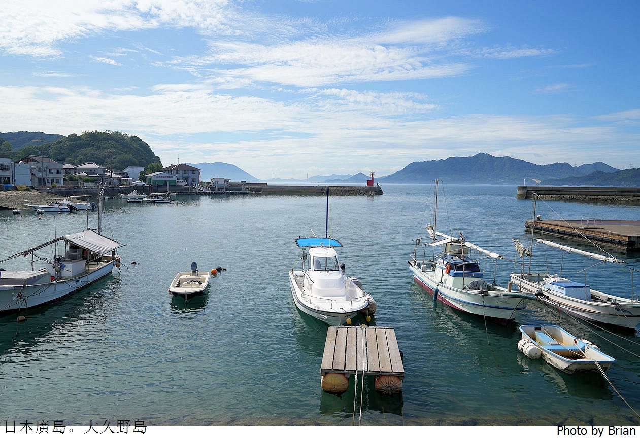 日本廣島親子景點大久野島。超可愛兔子島交通方式景點分享全攻略