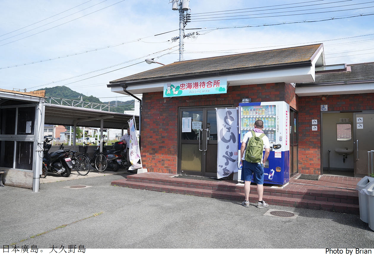日本廣島親子景點大久野島。超可愛兔子島交通方式景點分享全攻略