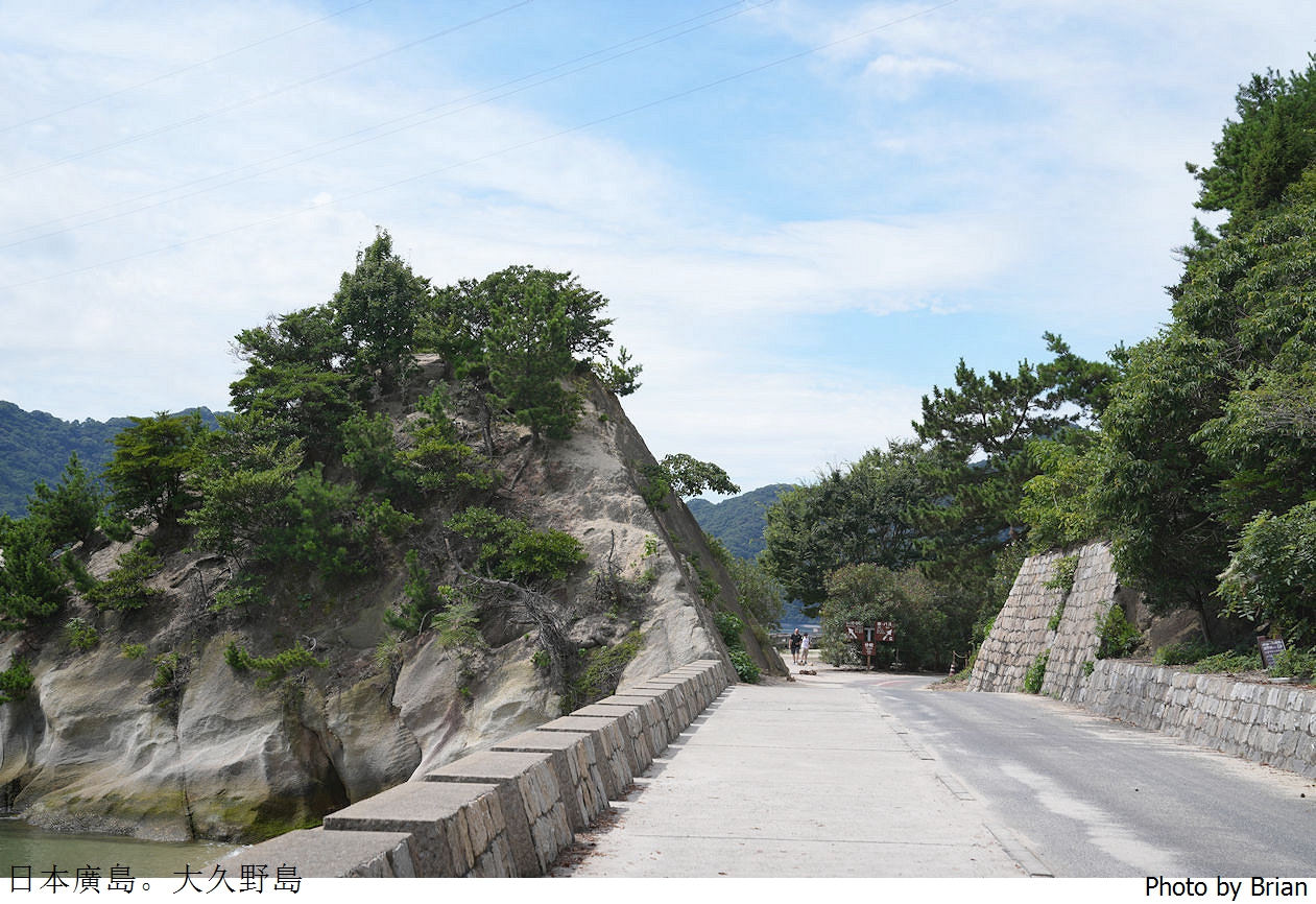 日本廣島親子景點大久野島。超可愛兔子島交通方式景點分享全攻略