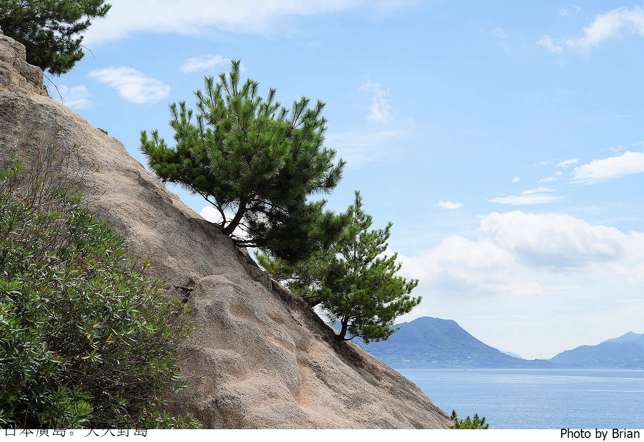 日本廣島親子景點大久野島。超可愛兔子島交通方式景點分享全攻略