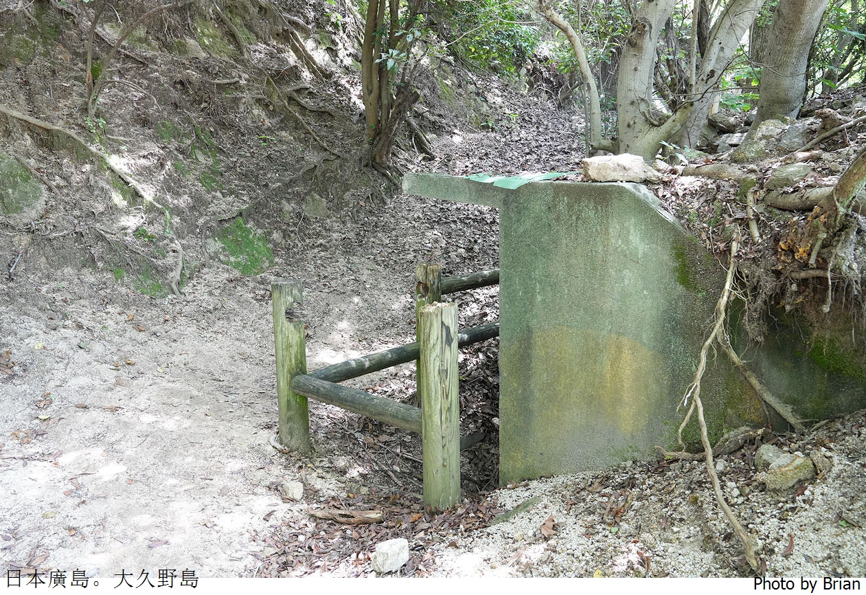 日本廣島親子景點大久野島。超可愛兔子島交通方式景點分享全攻略