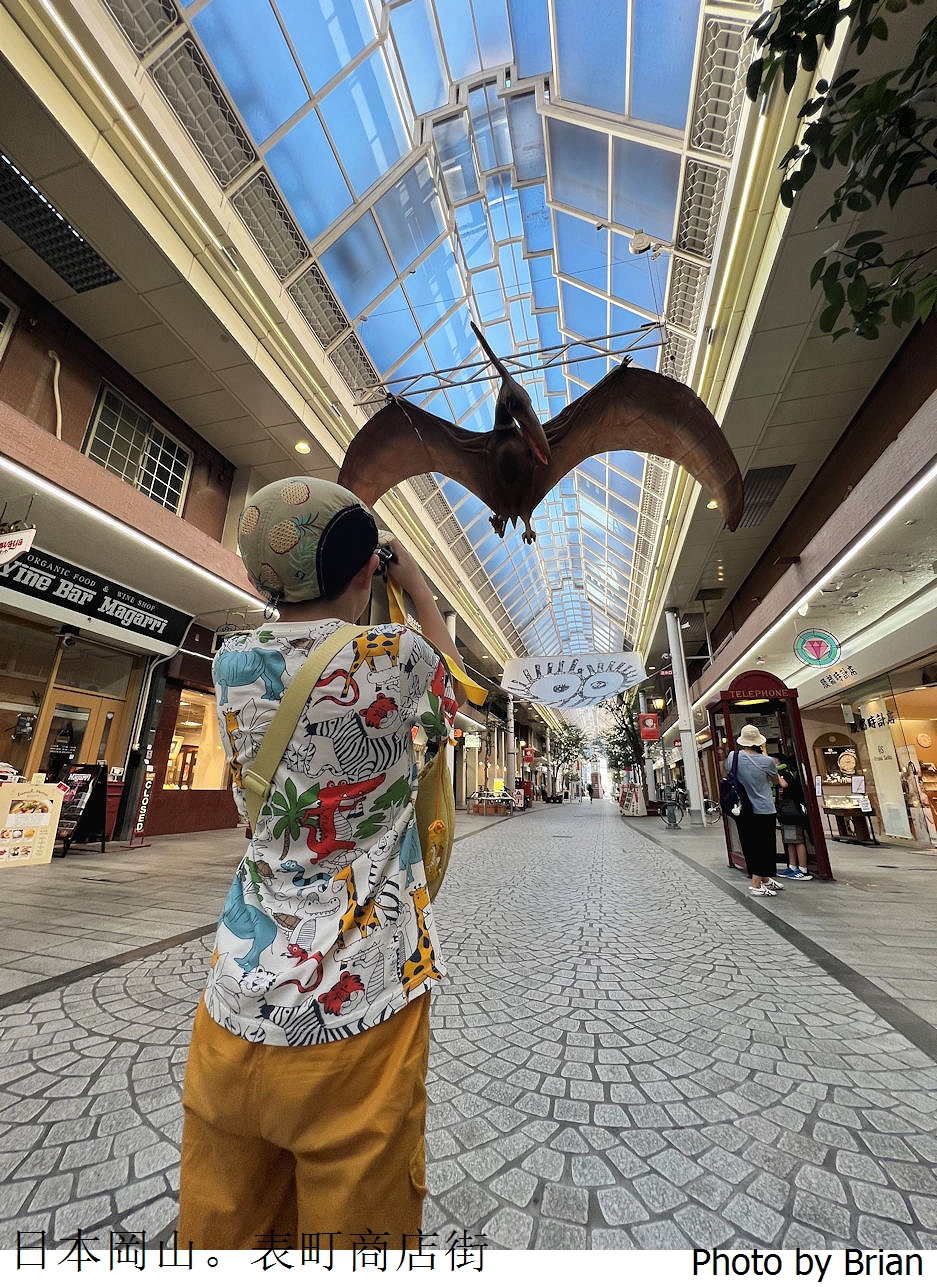 日本岡山表町商店街。雨天也不怕行人徒步逛街散步好地方 日本岡山表町商店街。雨天也不怕行人徒步逛街散步好地方