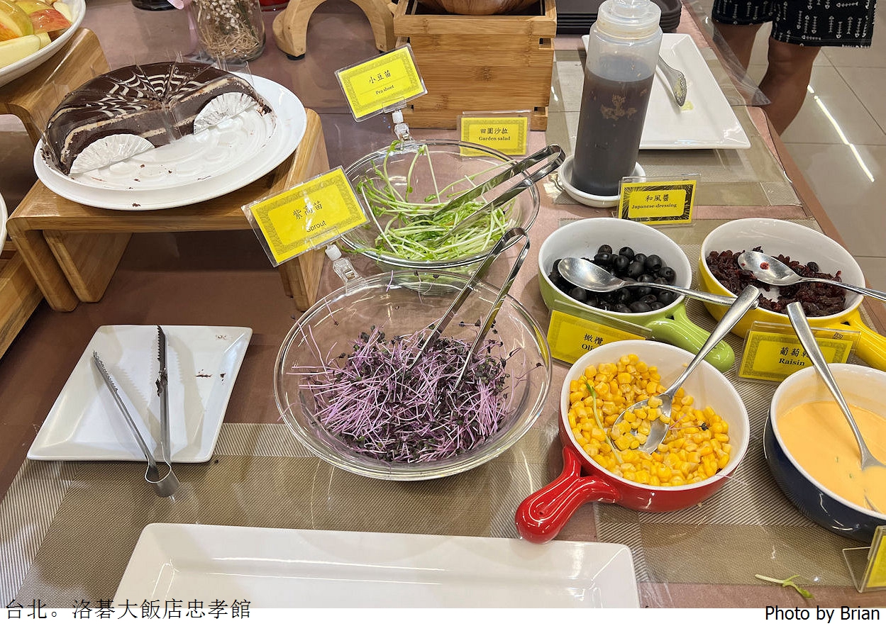 台北大巨蛋住宿推薦洛碁大飯店忠孝館。捷運站步行3分鐘大巨蛋步行10分鐘