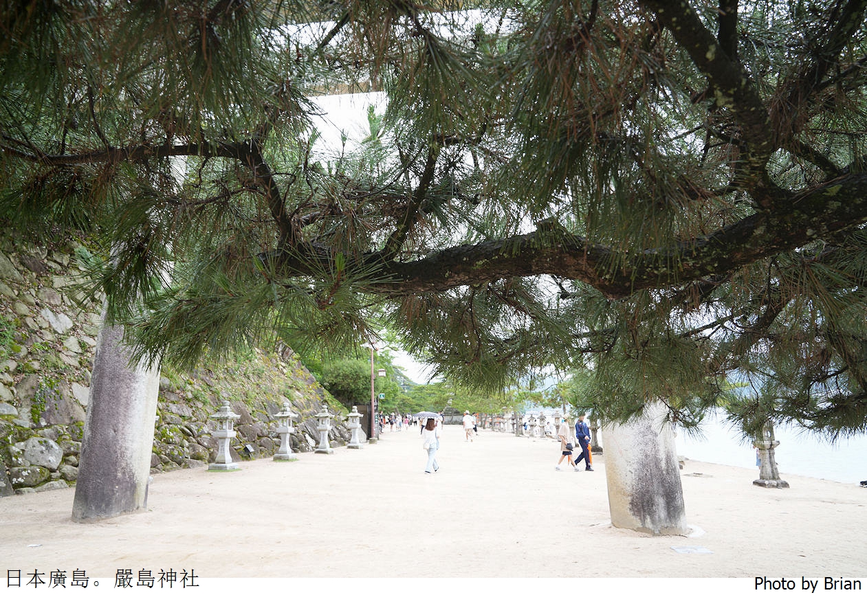 日本廣島世界遺產嚴島神社。廣島必訪景點獨特海上鳥居交通方式 日本廣島世界遺產嚴島神社。廣島必訪景點獨特海上鳥居交通方式