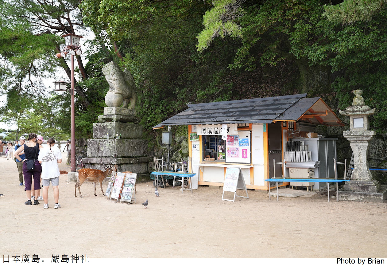 日本廣島世界遺產嚴島神社。廣島必訪景點獨特海上鳥居交通方式 日本廣島世界遺產嚴島神社。廣島必訪景點獨特海上鳥居交通方式