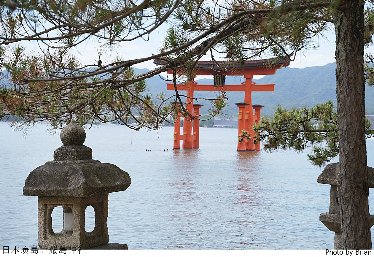 日本廣島世界遺產嚴島神社。廣島必訪景點獨特海上鳥居交通方式