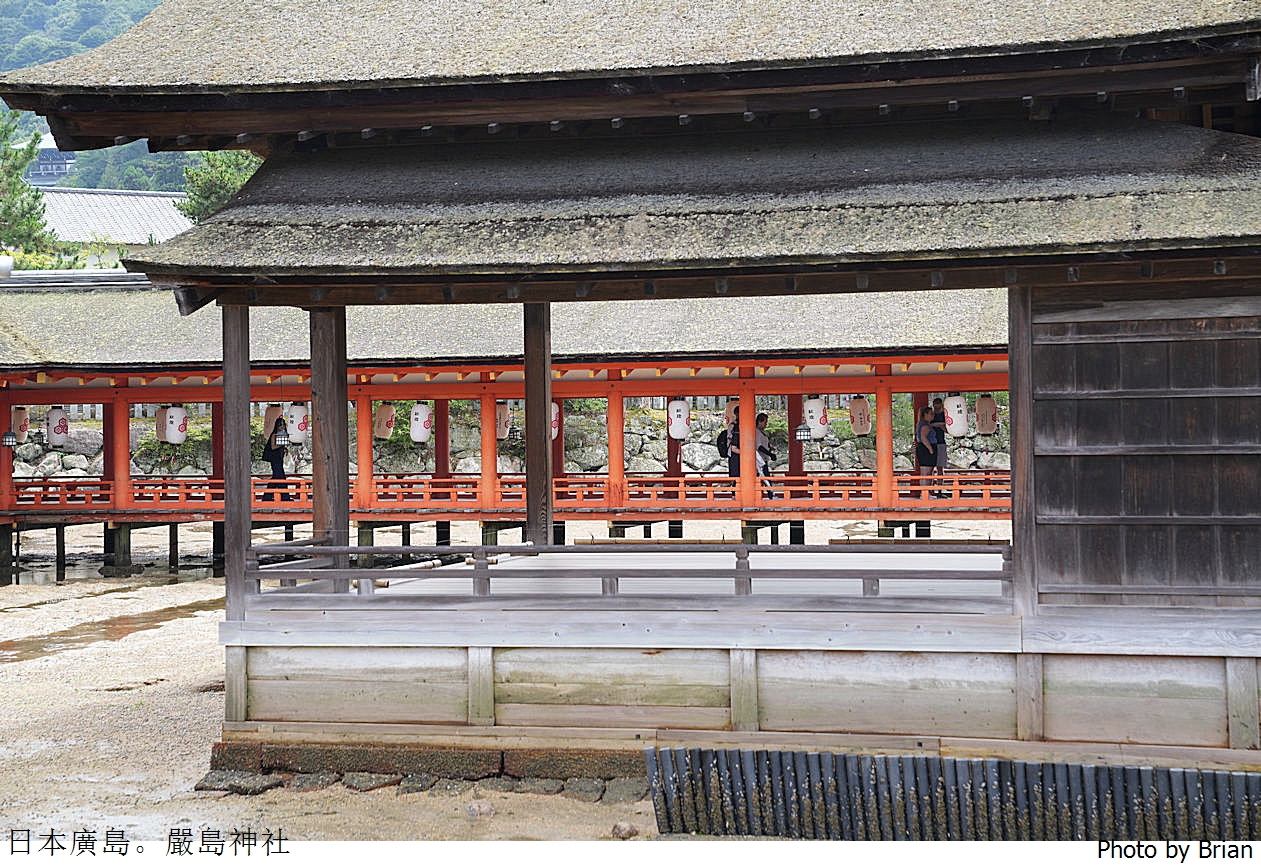 日本廣島世界遺產嚴島神社。廣島必訪景點獨特海上鳥居交通方式 日本廣島世界遺產嚴島神社。廣島必訪景點獨特海上鳥居交通方式