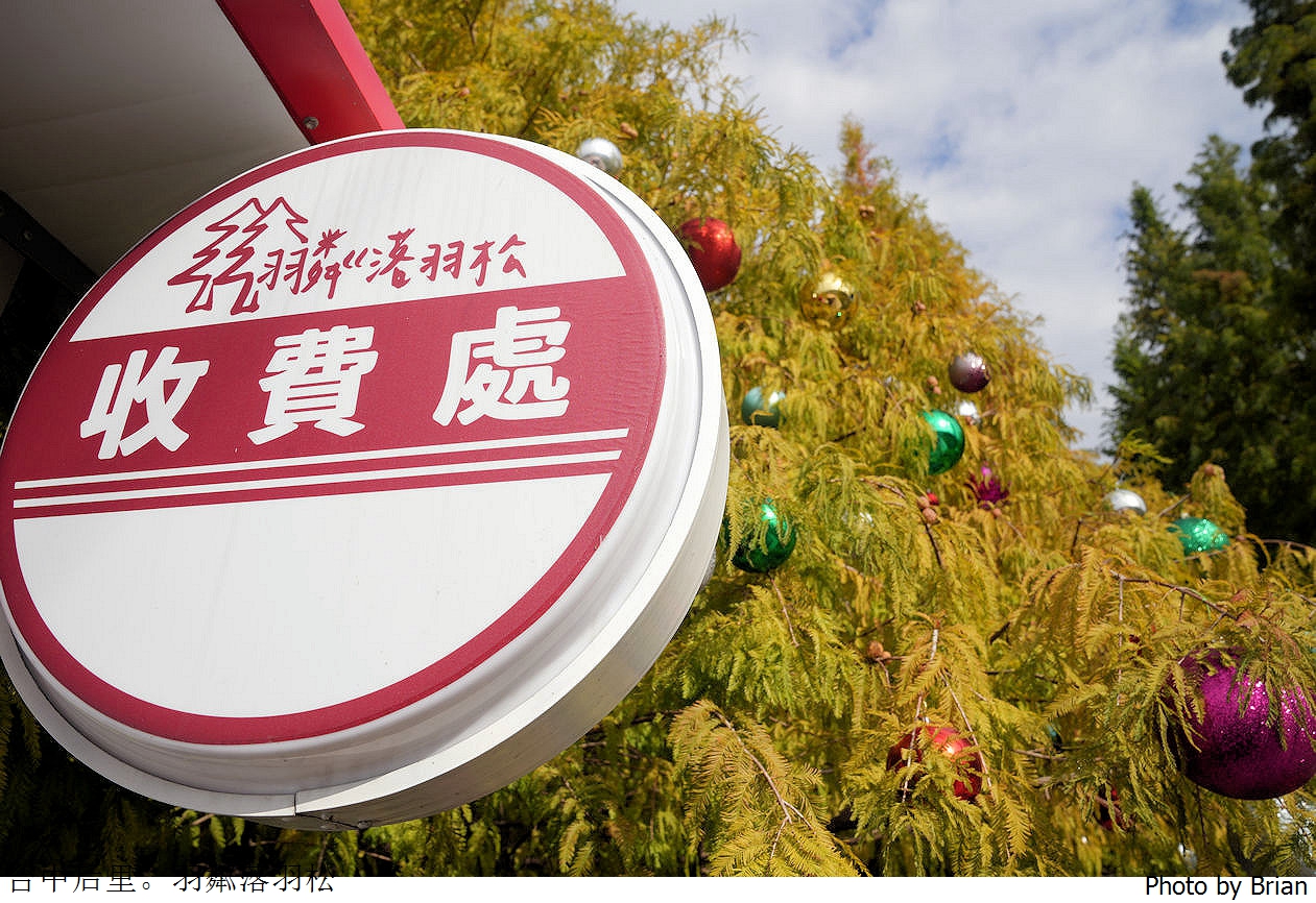 台中泰安落羽松。羽粼落羽松交通門票參觀資訊