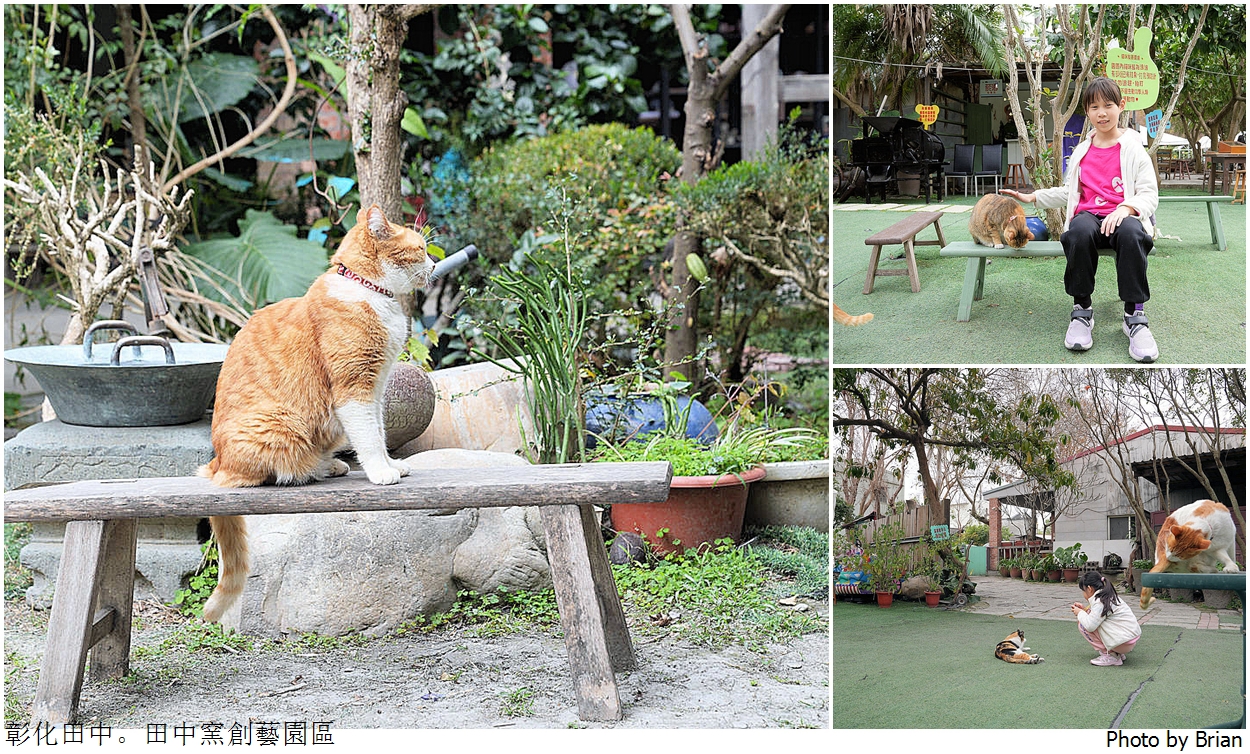 彰化景點田中窯創藝園區。可愛貓咪蜀葵花海手做 DIY 體驗親子景點 彰化景點田中窯創藝園區。可愛貓咪蜀葵花海手做 DIY 體驗親子景點