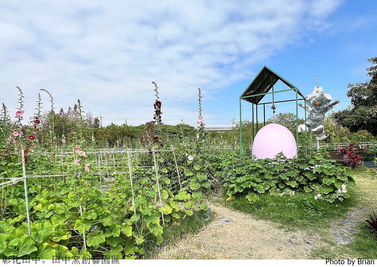 彰化景點田中窯創藝園區。可愛貓咪蜀葵花海手做 DIY 體驗親子景點