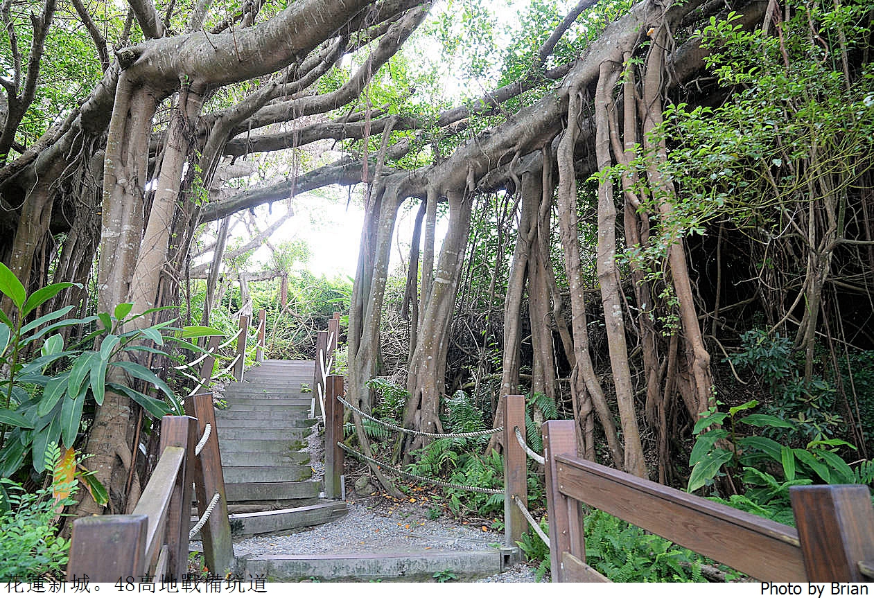 花蓮新城四八高地戰備坑道。體驗戰地風情欣賞美麗海景