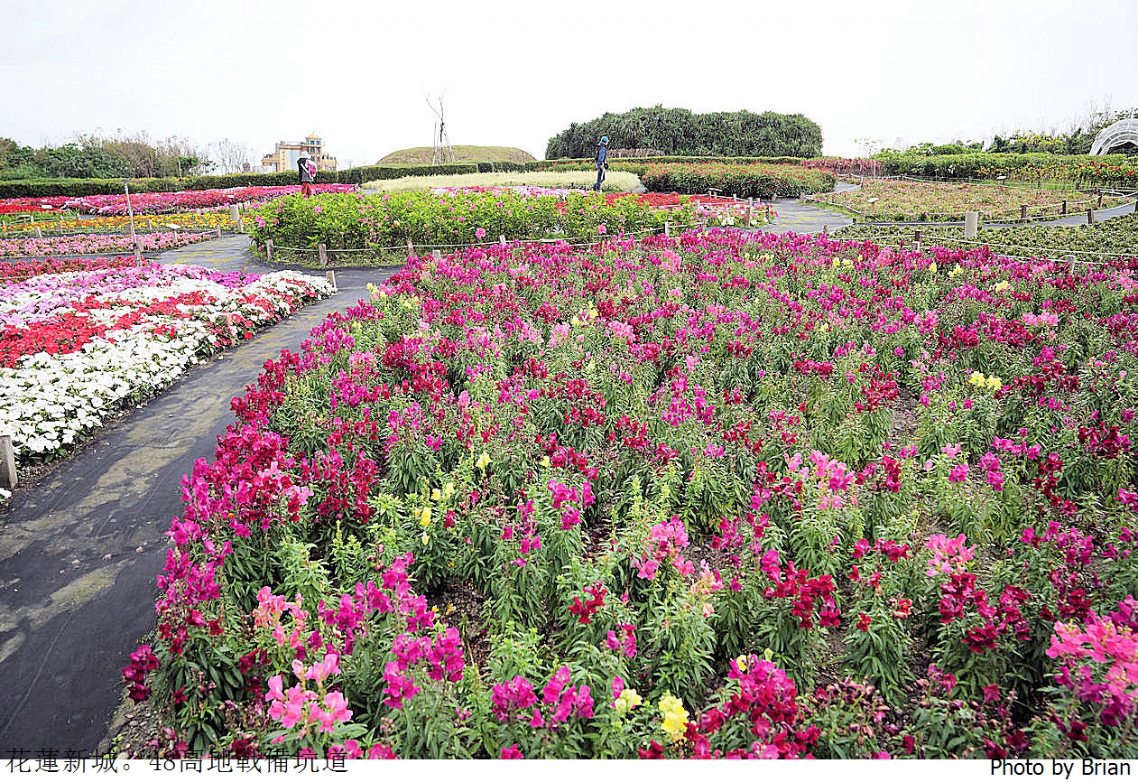 花蓮新城四八高地戰備坑道。體驗戰地風情欣賞美麗海景