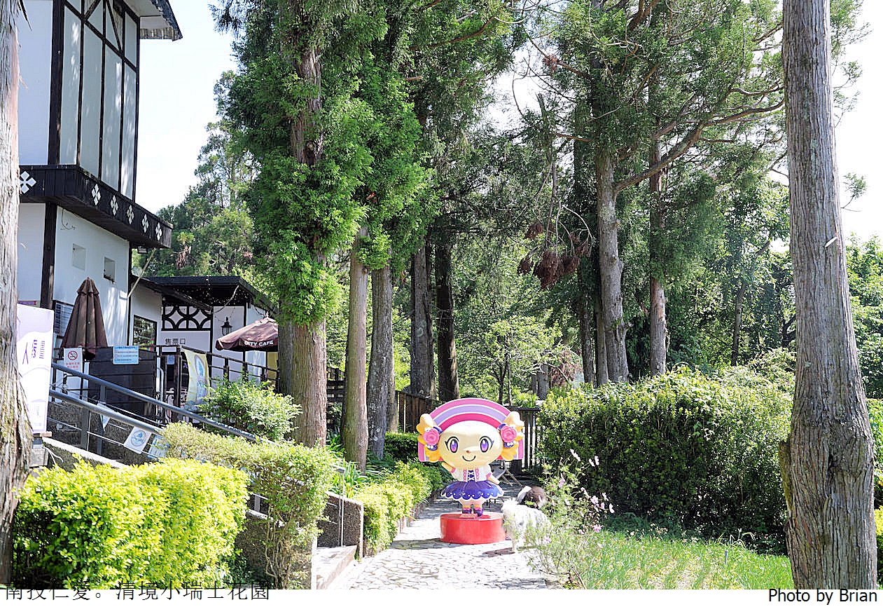 南投景點清境農場小瑞士花園。山林裡的花園秘境拍照打卡好迷人 南投景點清境農場小瑞士花園。山林裡的花園秘境拍照打卡好迷人