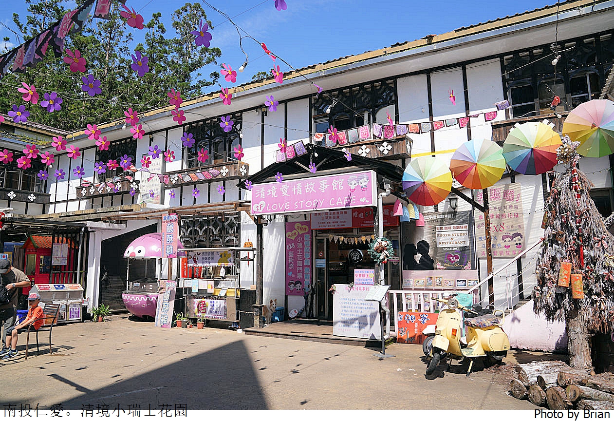 南投景點清境農場小瑞士花園。山林裡的花園秘境拍照打卡好迷人