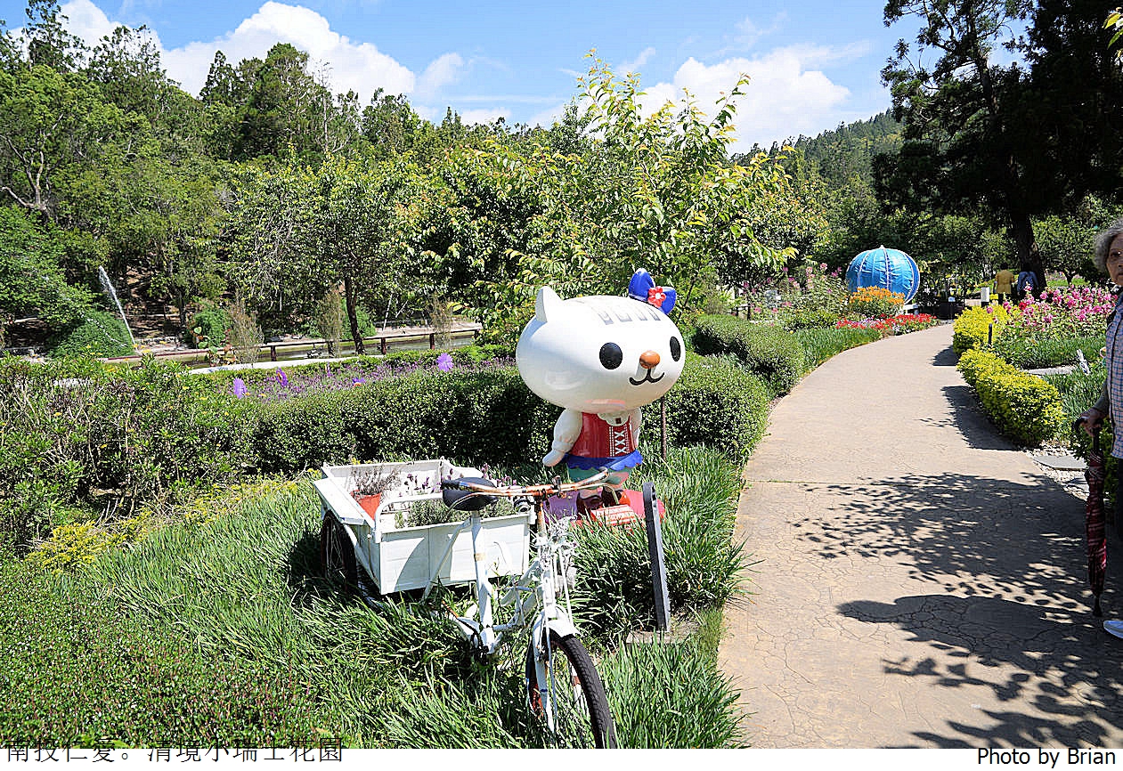 南投景點清境農場小瑞士花園。山林裡的花園秘境拍照打卡好迷人 南投景點清境農場小瑞士花園。山林裡的花園秘境拍照打卡好迷人