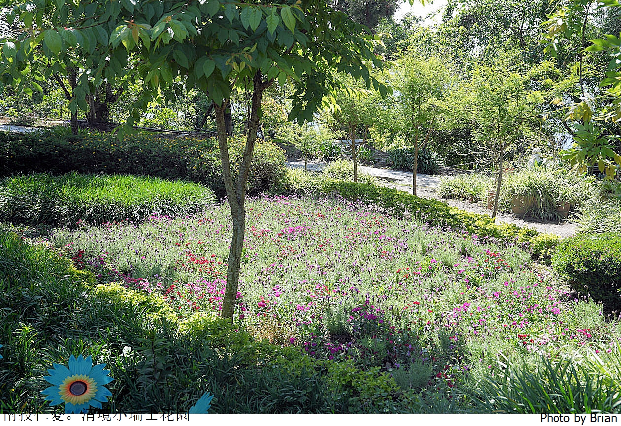 南投景點清境農場小瑞士花園。山林裡的花園秘境拍照打卡好迷人 南投景點清境農場小瑞士花園。山林裡的花園秘境拍照打卡好迷人