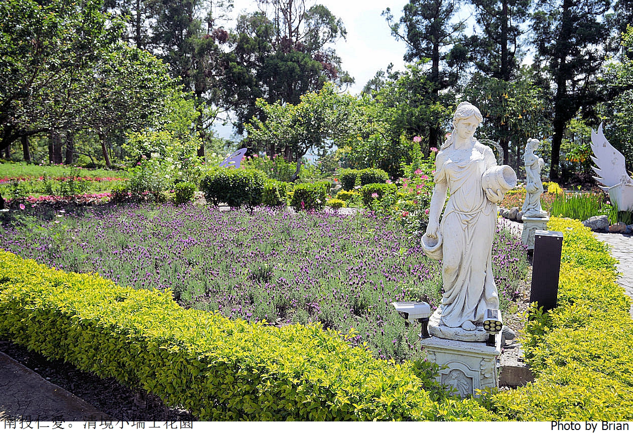 南投景點清境農場小瑞士花園。山林裡的花園秘境拍照打卡好迷人 南投景點清境農場小瑞士花園。山林裡的花園秘境拍照打卡好迷人