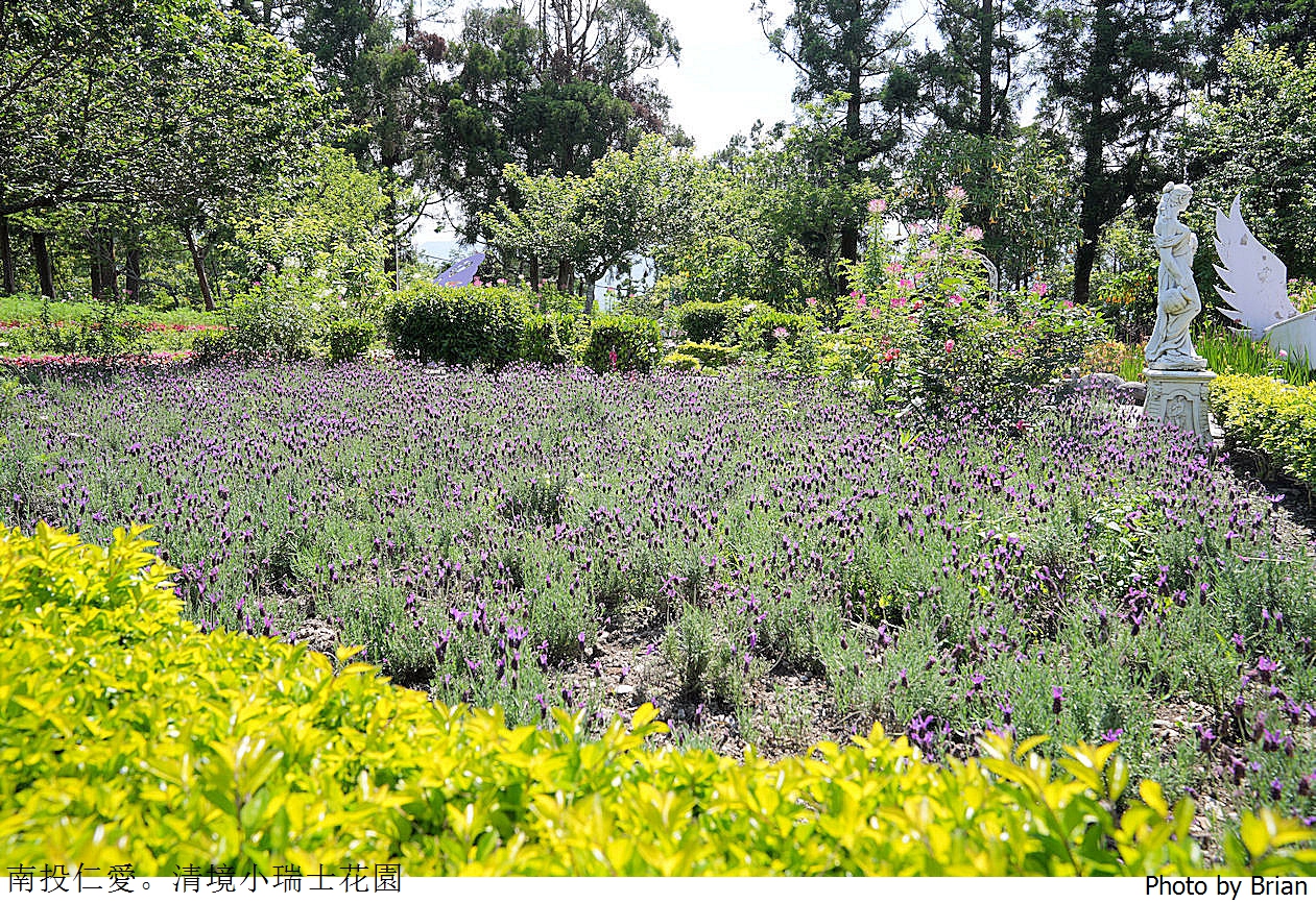 南投景點清境農場小瑞士花園。山林裡的花園秘境拍照打卡好迷人 南投景點清境農場小瑞士花園。山林裡的花園秘境拍照打卡好迷人