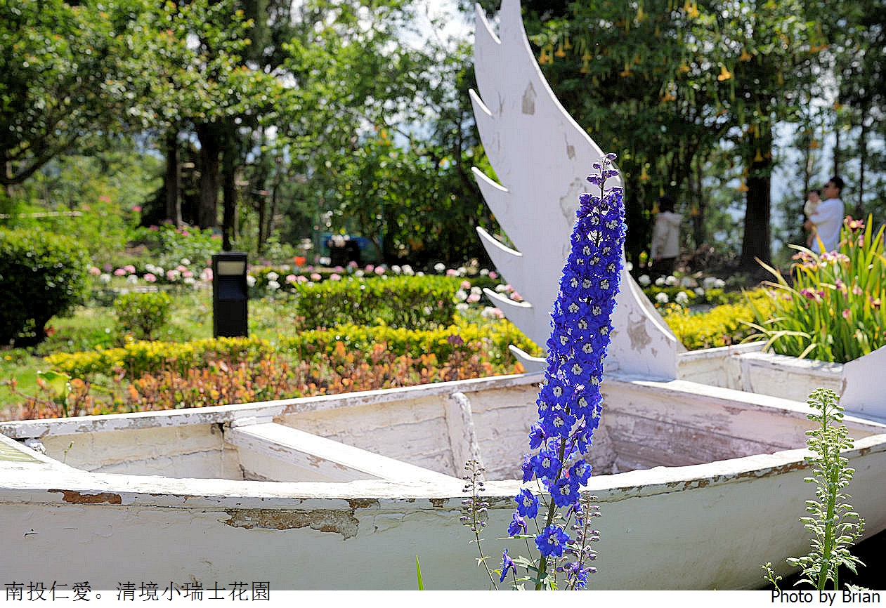 南投景點清境農場小瑞士花園。山林裡的花園秘境拍照打卡好迷人 南投景點清境農場小瑞士花園。山林裡的花園秘境拍照打卡好迷人