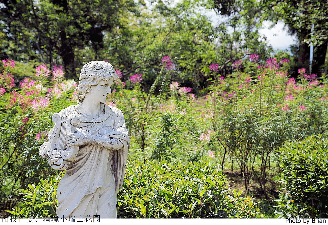 南投景點清境農場小瑞士花園。山林裡的花園秘境拍照打卡好迷人 南投景點清境農場小瑞士花園。山林裡的花園秘境拍照打卡好迷人