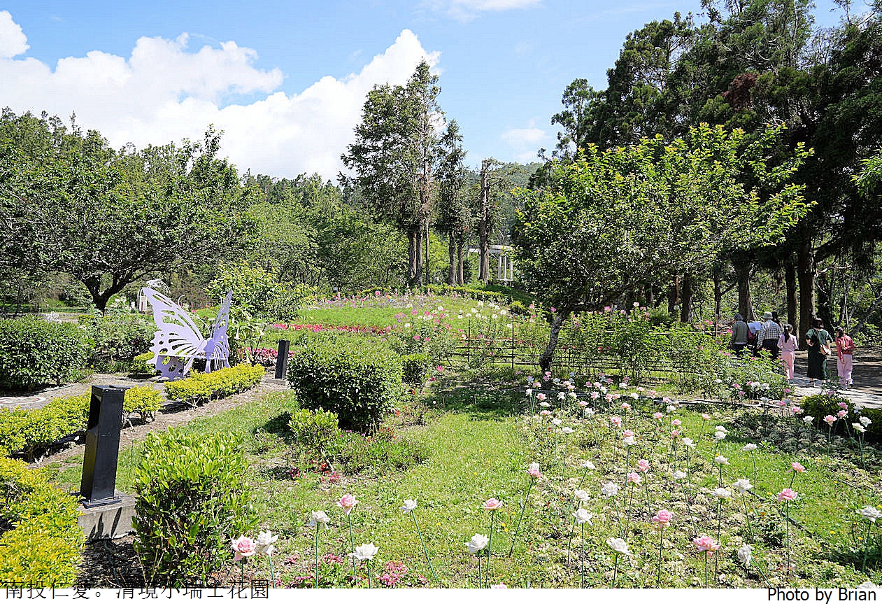 南投景點清境農場小瑞士花園。山林裡的花園秘境拍照打卡好迷人
