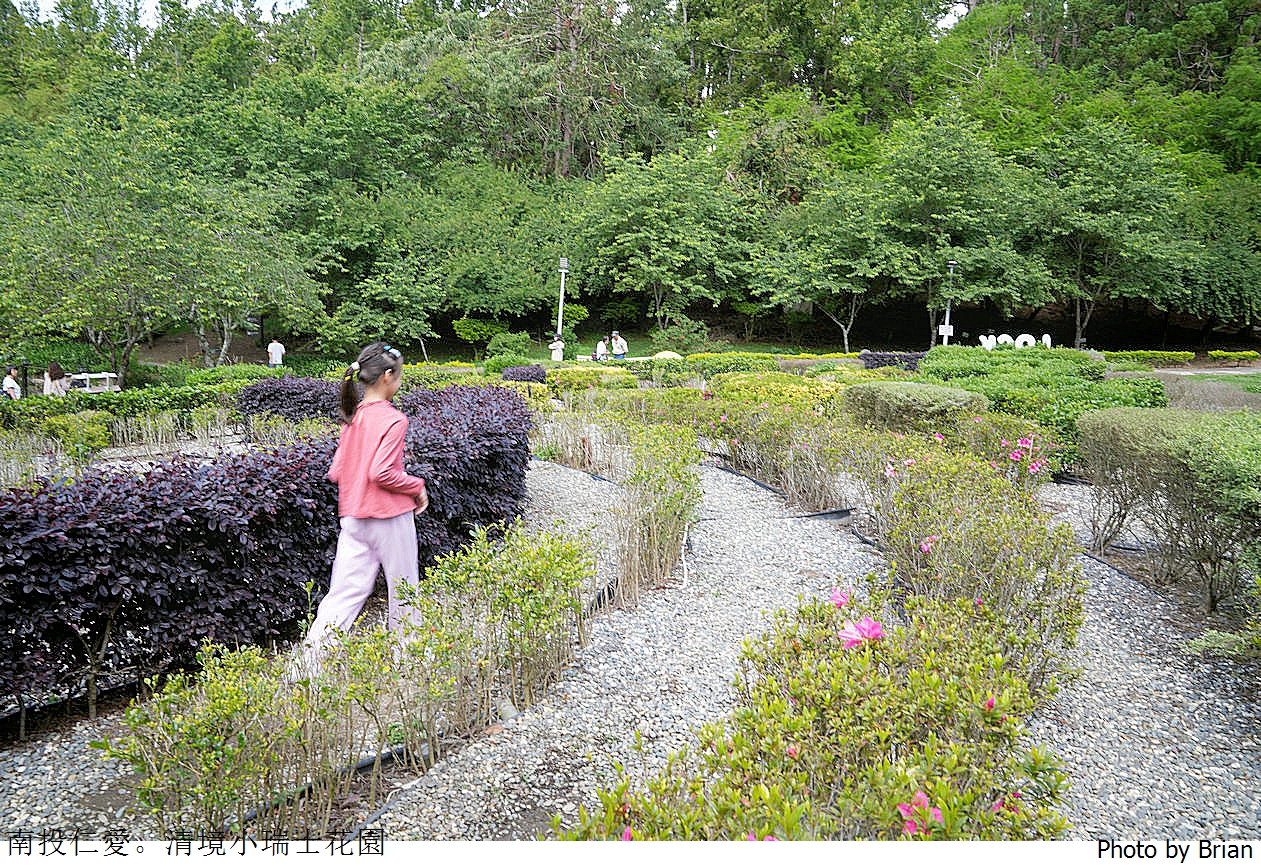 南投景點清境農場小瑞士花園。山林裡的花園秘境拍照打卡好迷人 南投景點清境農場小瑞士花園。山林裡的花園秘境拍照打卡好迷人
