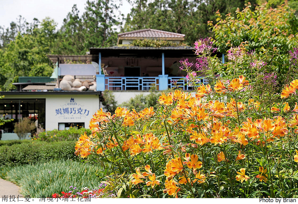 南投景點清境農場小瑞士花園。山林裡的花園秘境拍照打卡好迷人 南投景點清境農場小瑞士花園。山林裡的花園秘境拍照打卡好迷人