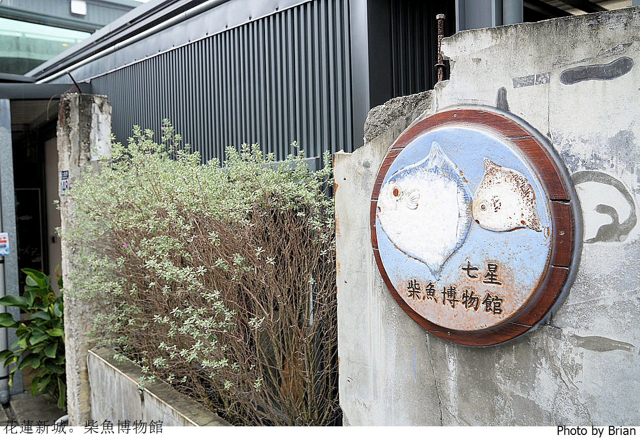 花蓮景點七星柴魚博物館。免門票親子景點輕鬆走逛好好買