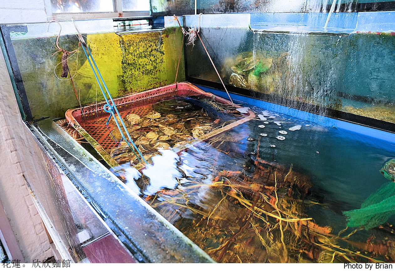 花蓮美食欣欣麵店。主打不是麵店的人氣海鮮餐廳