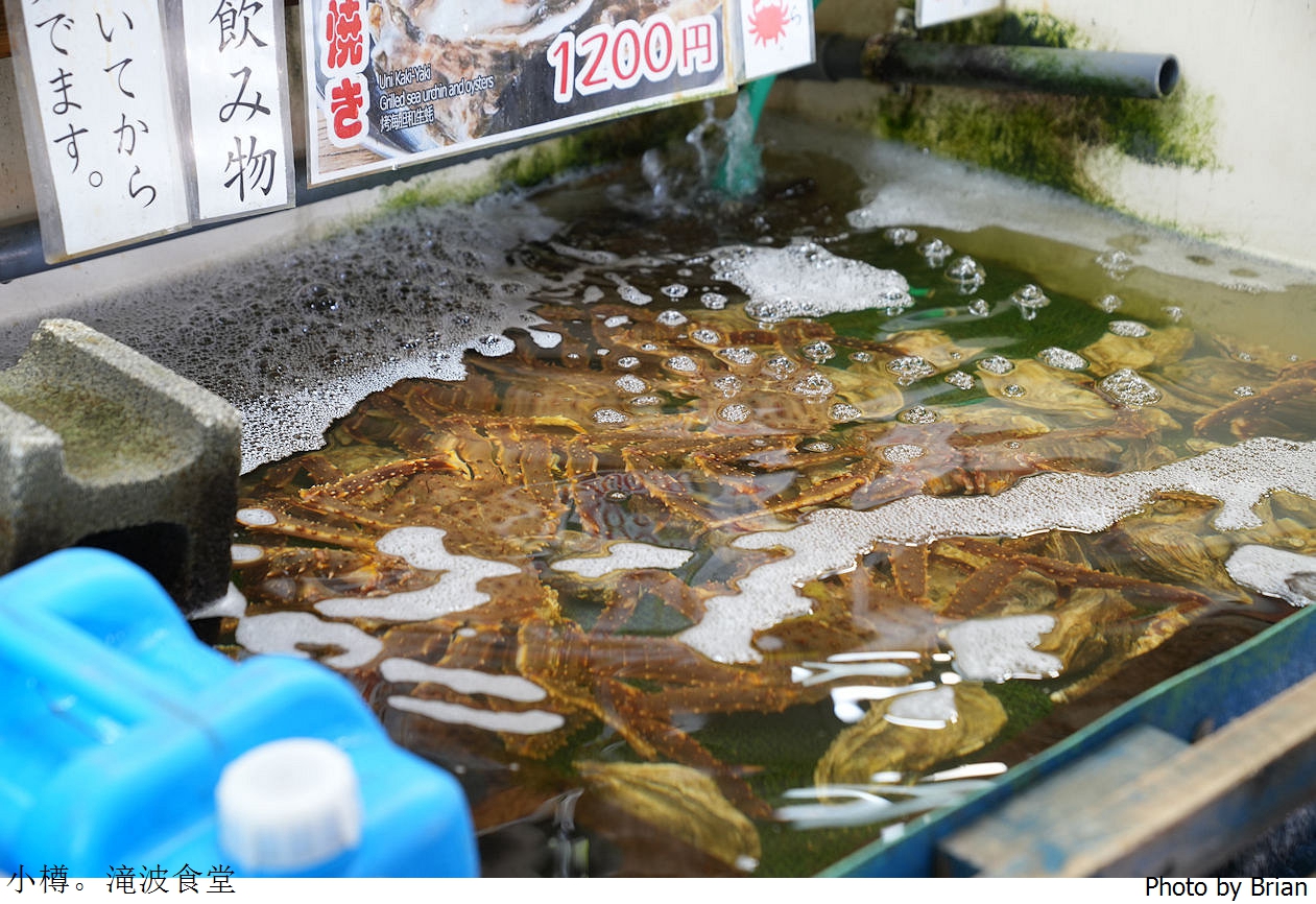 北海道小樽三角市場美食滝波食堂。人氣排隊名店三種海鮮任選組合丼飯