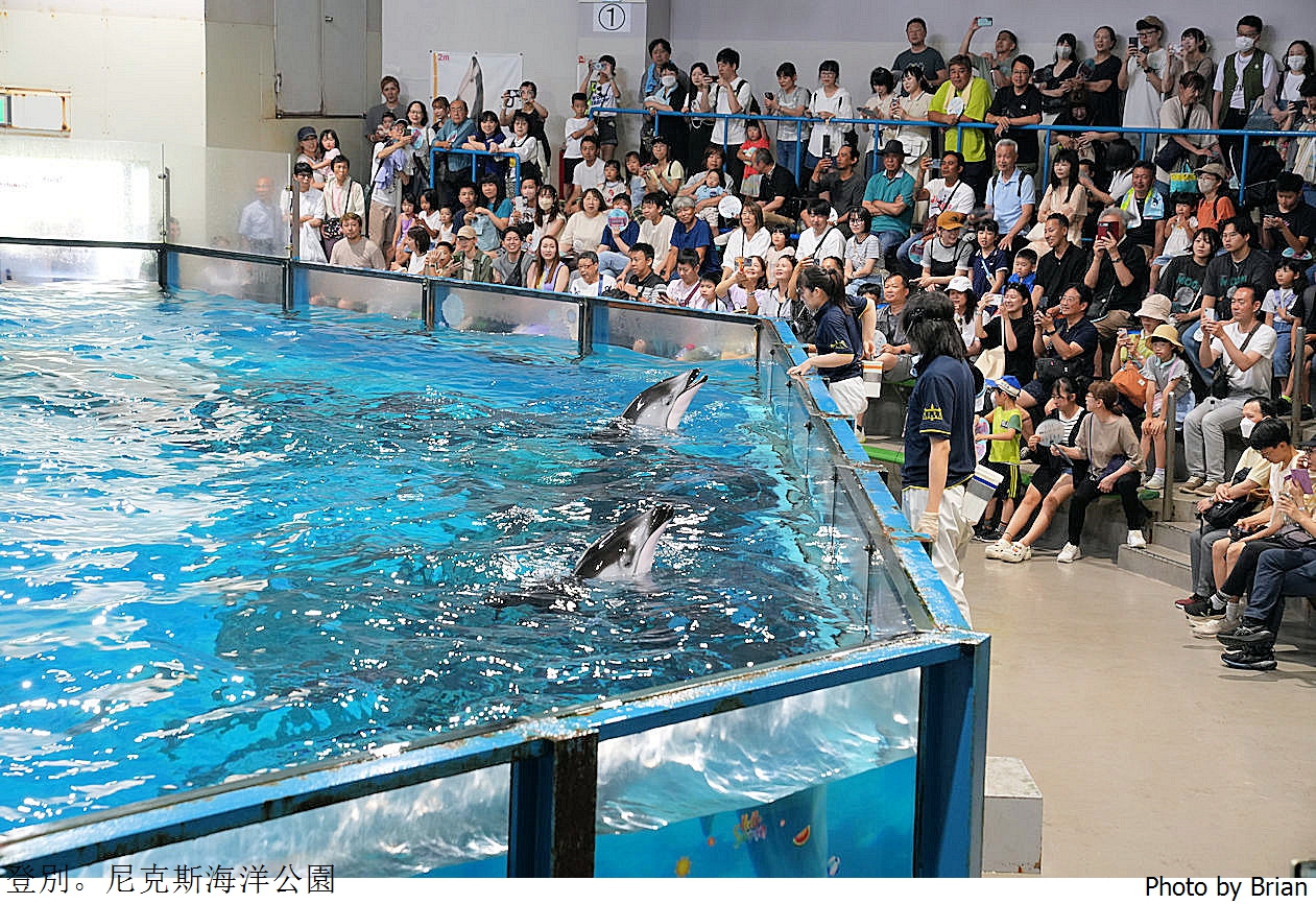 北海道登別尼克斯海洋公園。可愛企鵝遊行北海道親子景點推薦 北海道登別尼克斯海洋公園。可愛企鵝遊行北海道親子景點推薦