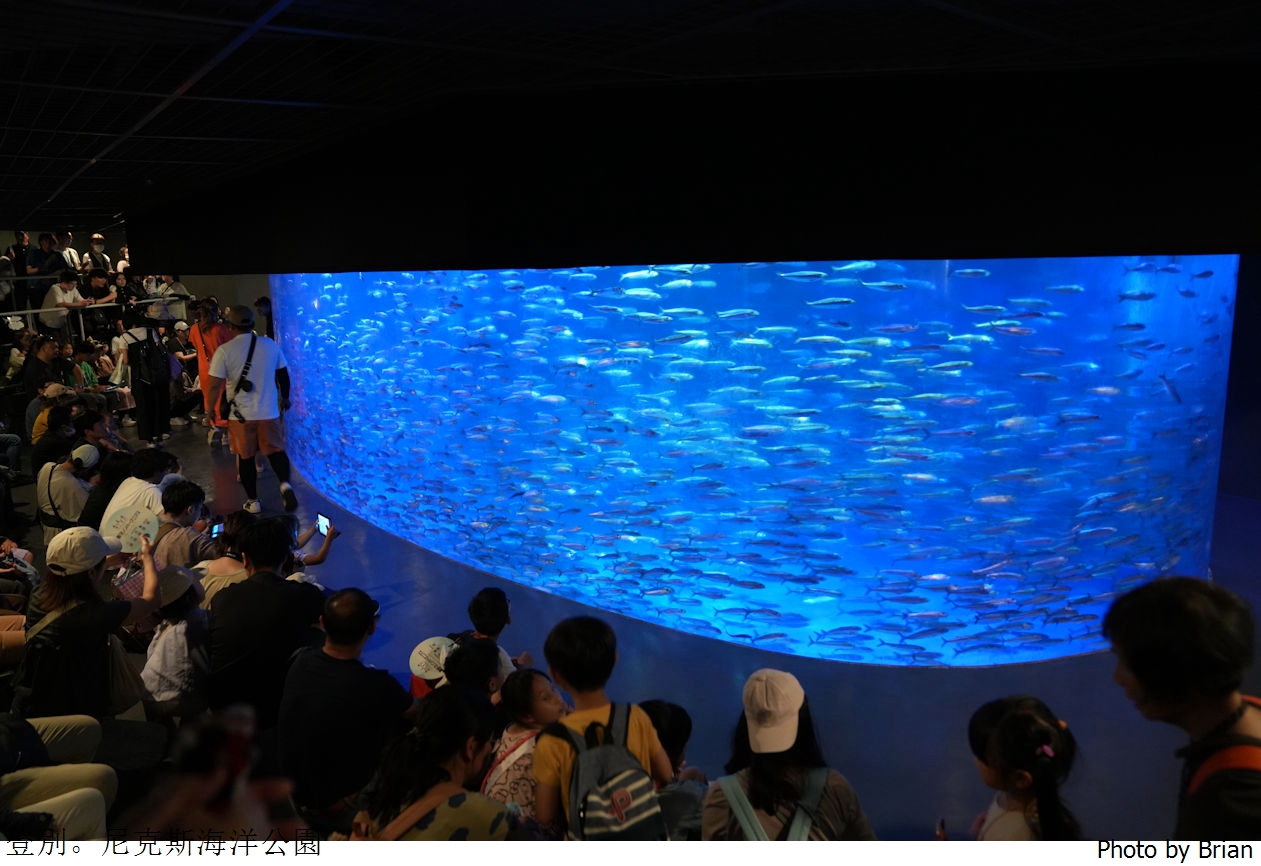 北海道登別尼克斯海洋公園。可愛企鵝遊行北海道親子景點推薦 北海道登別尼克斯海洋公園。可愛企鵝遊行北海道親子景點推薦