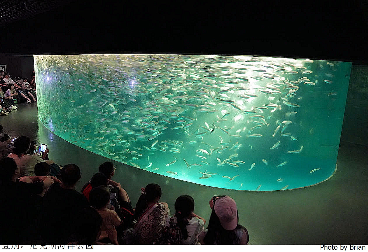 北海道登別尼克斯海洋公園。可愛企鵝遊行北海道親子景點推薦