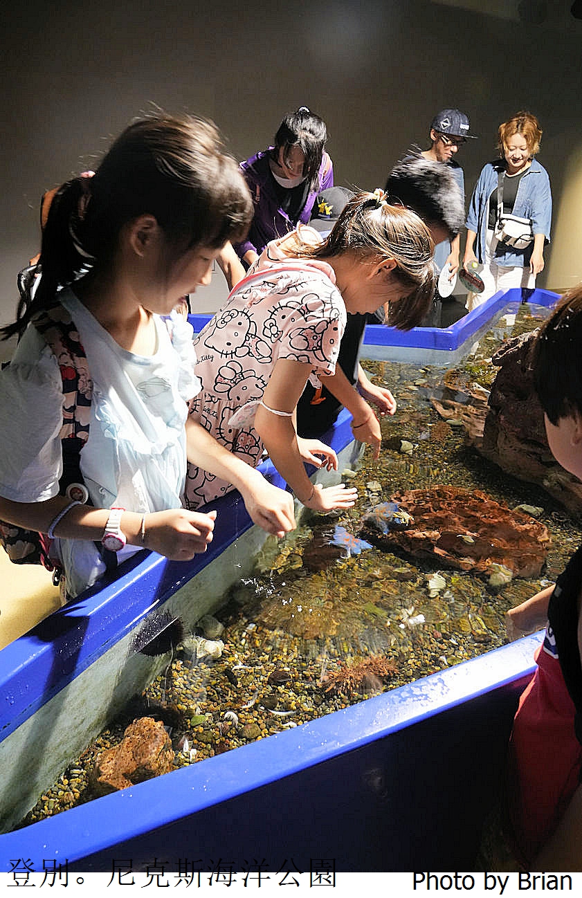 北海道登別尼克斯海洋公園。可愛企鵝遊行北海道親子景點推薦