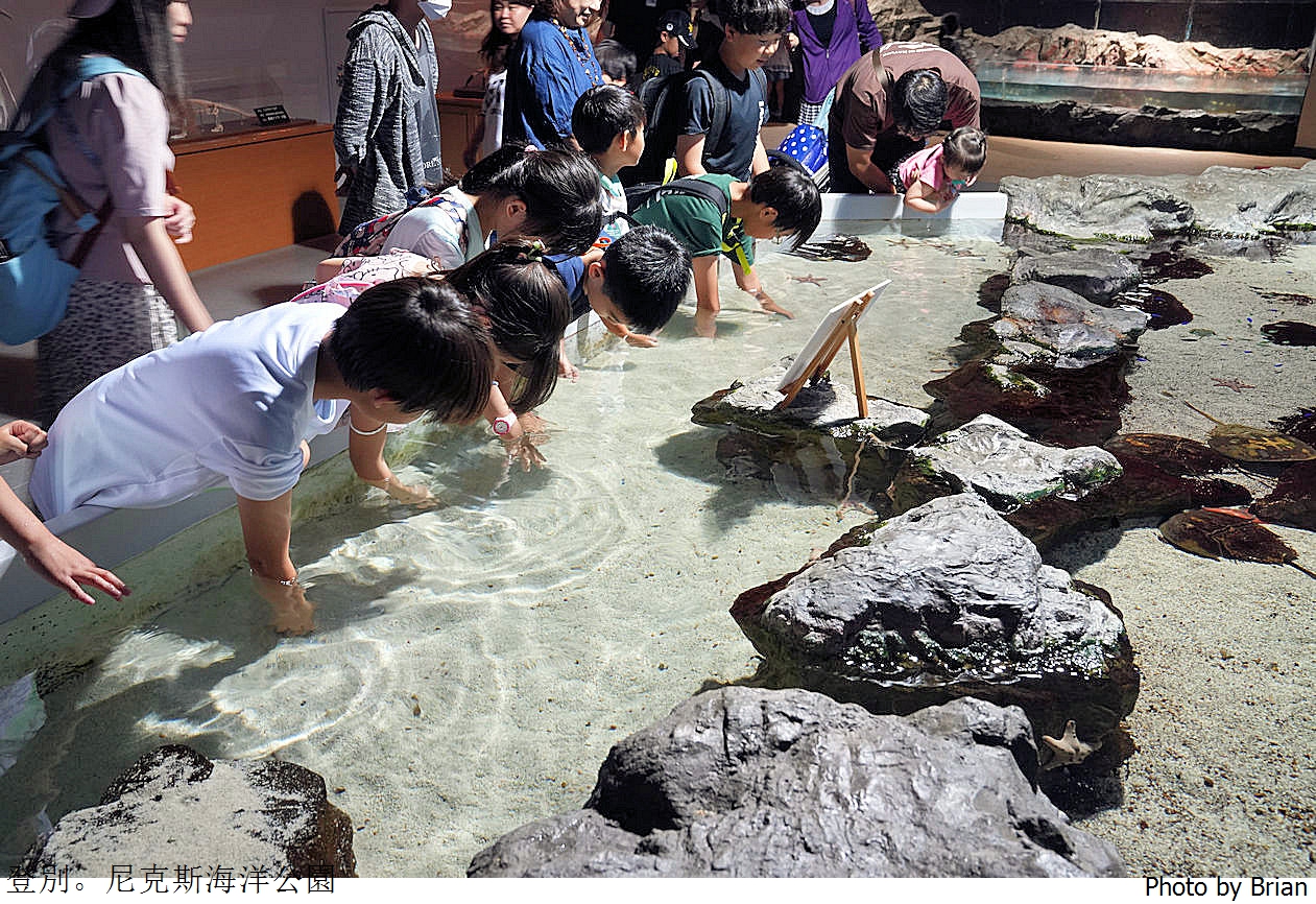 北海道登別尼克斯海洋公園。可愛企鵝遊行北海道親子景點推薦 北海道登別尼克斯海洋公園。可愛企鵝遊行北海道親子景點推薦
