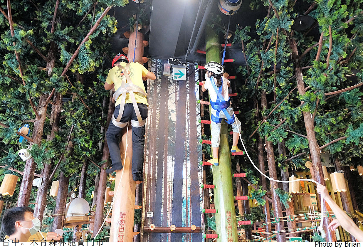 台中木育森林麗寶樂園店。全木製高質感設施室內遊樂區 台中木育森林麗寶樂園店。全木製高質感設施室內遊樂區