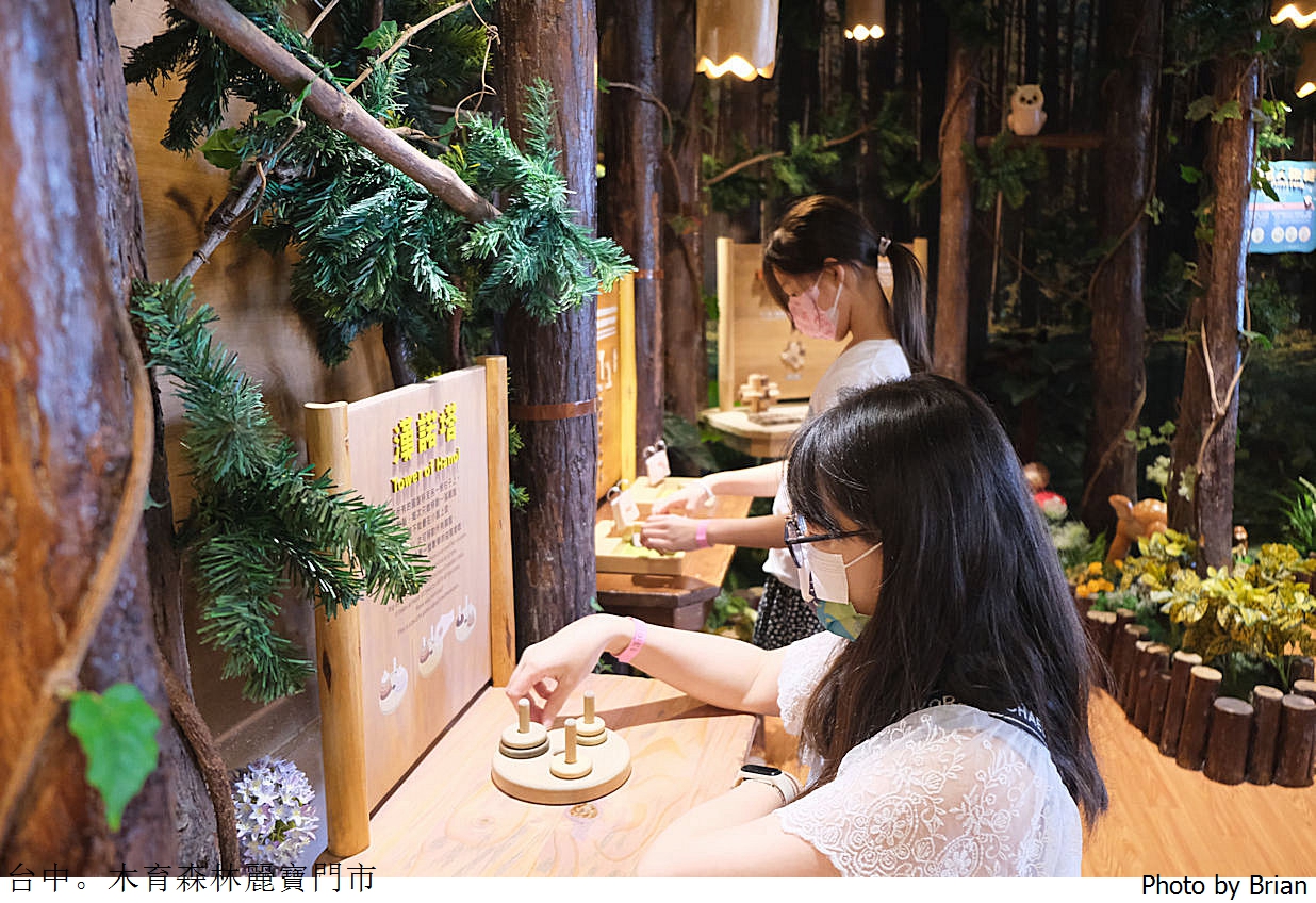 台中木育森林麗寶樂園店。全木製高質感設施室內遊樂區 台中木育森林麗寶樂園店。全木製高質感設施室內遊樂區