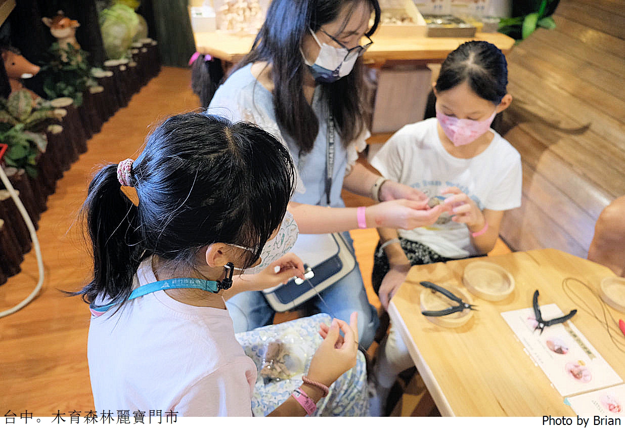 台中木育森林麗寶樂園店。全木製高質感設施室內遊樂區 台中木育森林麗寶樂園店。全木製高質感設施室內遊樂區