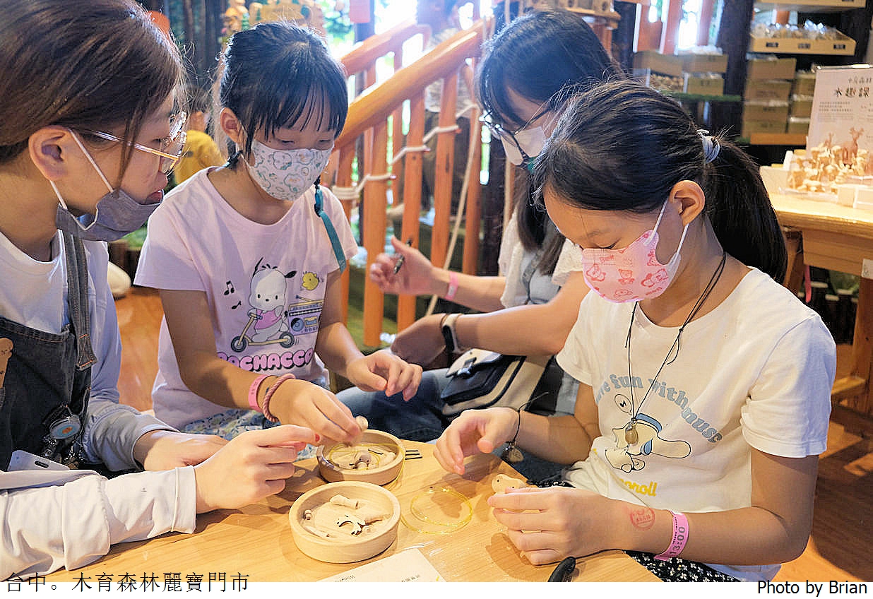 台中木育森林麗寶樂園店。全木製高質感設施室內遊樂區