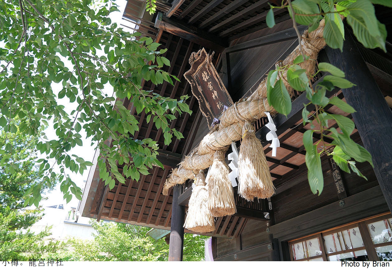 北海道小樽龍宮神社。小樽車站附近隱藏小景點 北海道小樽龍宮神社。小樽車站附近隱藏小景點