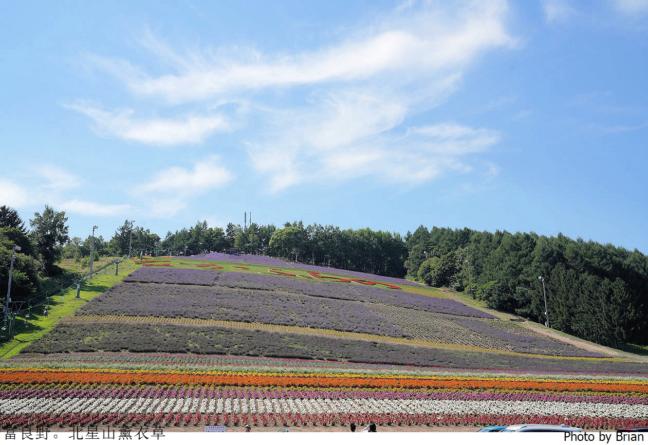北海道中富良野北星山薰衣草園。搭纜車登高欣賞薰衣草花海搭配十勝連峰