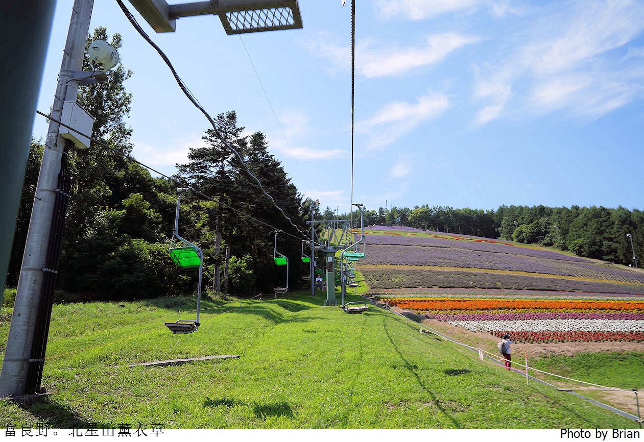 北海道中富良野北星山薰衣草園。搭纜車登高欣賞薰衣草花海搭配十勝連峰 北海道中富良野北星山薰衣草園。搭纜車登高欣賞薰衣草花海搭配十勝連峰