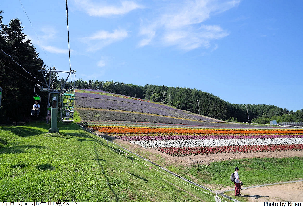 北海道中富良野北星山薰衣草園。搭纜車登高欣賞薰衣草花海搭配十勝連峰