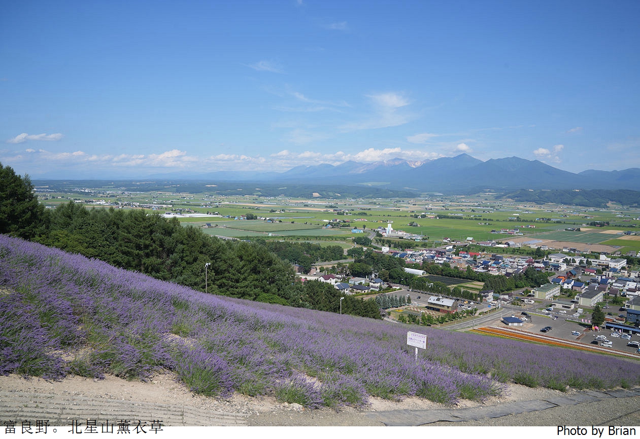 北海道中富良野北星山薰衣草園。搭纜車登高欣賞薰衣草花海搭配十勝連峰 北海道中富良野北星山薰衣草園。搭纜車登高欣賞薰衣草花海搭配十勝連峰
