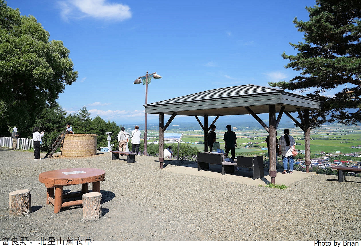 北海道中富良野北星山薰衣草園。搭纜車登高欣賞薰衣草花海搭配十勝連峰